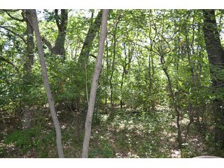 <b>PRICE REDUCED: $5,900 per acre</b><br>
This property offers productive tillable land along with two wooded areas.  Much of the larger woods near the road is on a ridge.  Investigate this area for a potential beautiful homesite as well as for hunting and recreational opportunities. <br>
<b>156.9+/- </b>Total Acres | <b>145.83+/-</b> Tillable Cropland Acres per FSA | <b>10+/-</b> Wooded Acres - 156.9+/- Acres For Sale - Cropland, Woods for Hunting/Recreational & Potential Building Sites